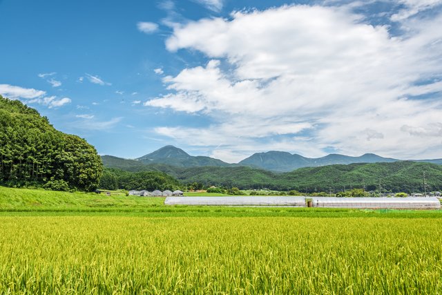 日本の田園と山並みの風景