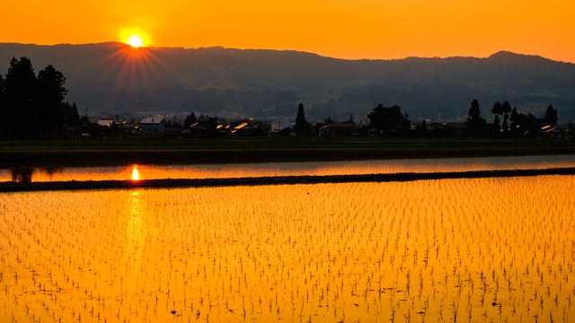 夕日に染まる水田と里の風景